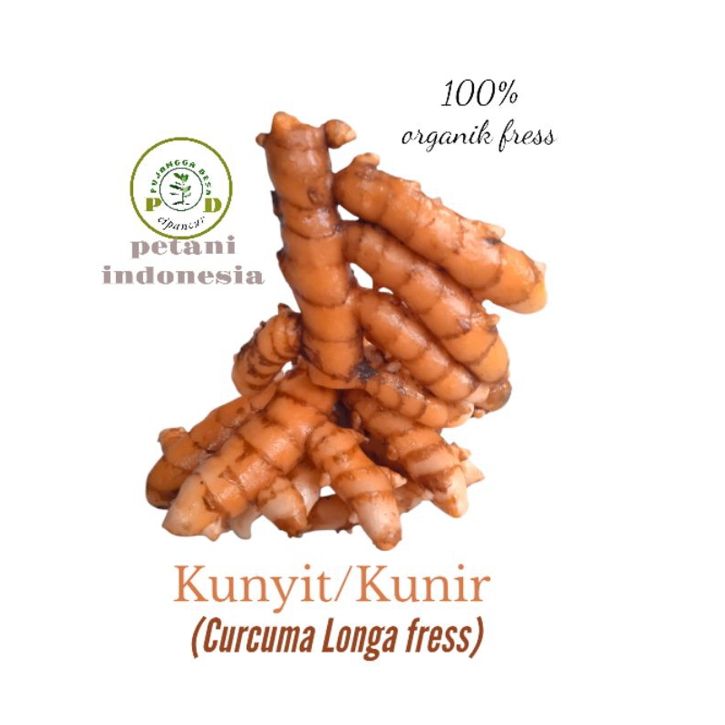 

kunyit, lengkuas, sereh paket 100gram pervarian segar dari petani