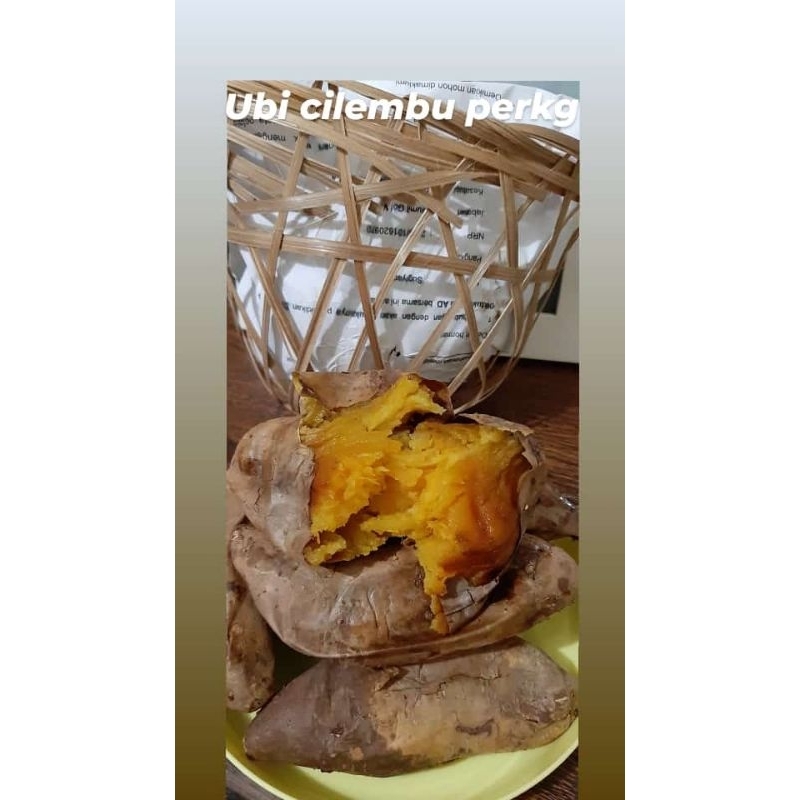 

ubi cilembu matang /ubi madu 1kg