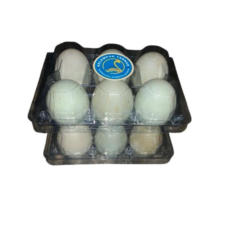 

Telur Bebek