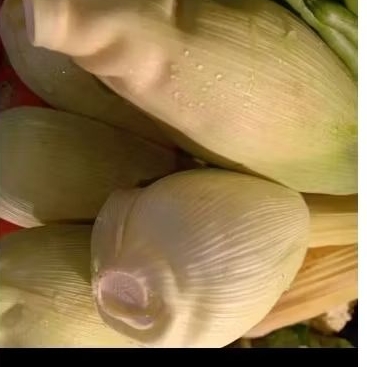 

jagung manis 1 buah