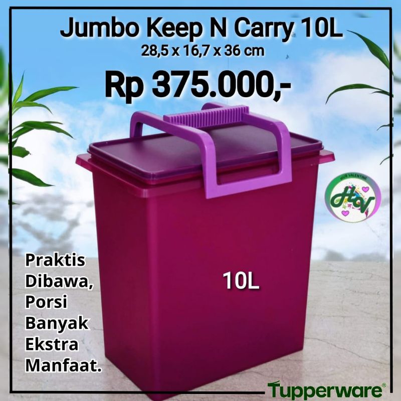 Jumbo Keep N Carry 10L wadah penyimpanan
