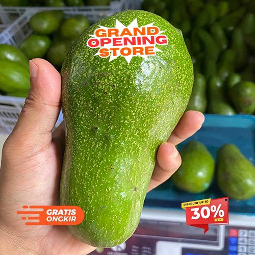 

Alpukat Murah Grosir Ready 1kg 500gr Bergaransi