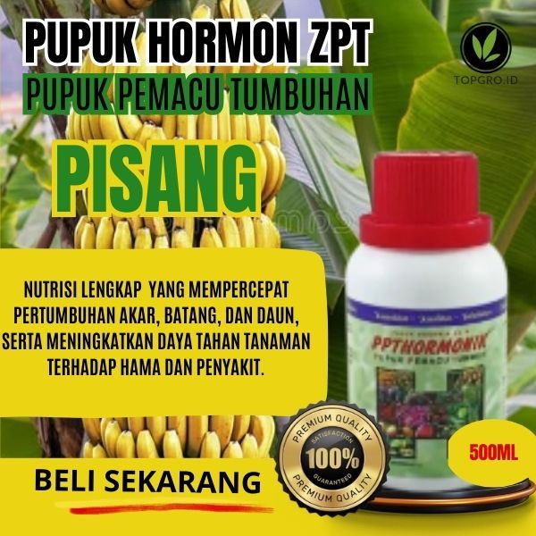 Pupuk ZPT Pisang / Pupuk ZPT Pertumbuhan Pisang / ZPT Pelebat Buah / ZPT Plus / Pupuk ZPT Lengkap