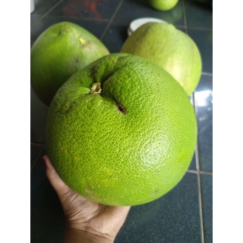 

jeruk pamelo madu Muria tanpa biji manis seger fres berat 2kg JUMBO