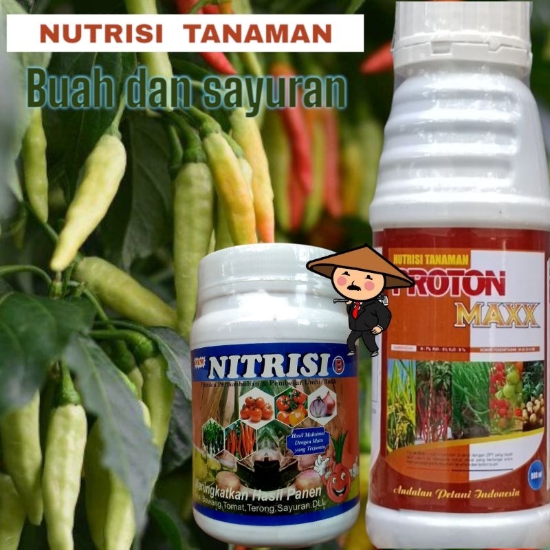 PROTON MAXX + NITRISI B (NUTRISI B) 500 GRAM
