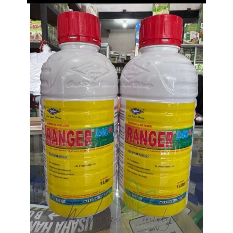 Ranger 240 SL 1 L