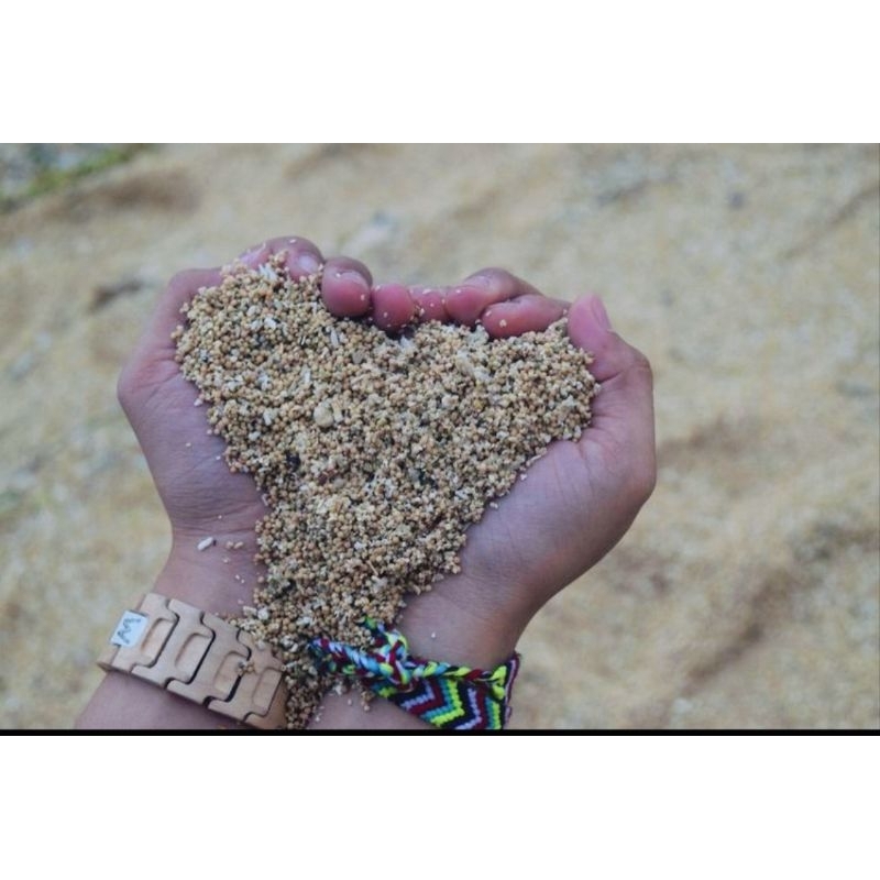 pasir Pantai Bali pasir laut pasir Pantai dari Bali 1 kilo