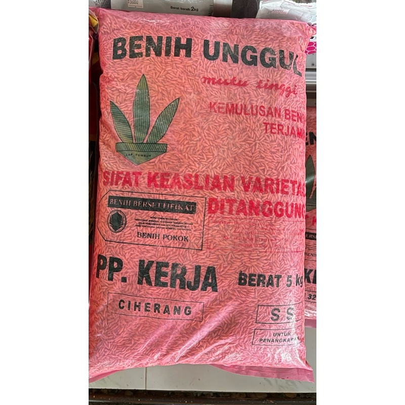 Benih Padi CIHERANG PP KERJA 5 kg