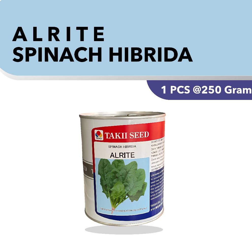 

ALRITE Spinach Hibrida 250 Gram