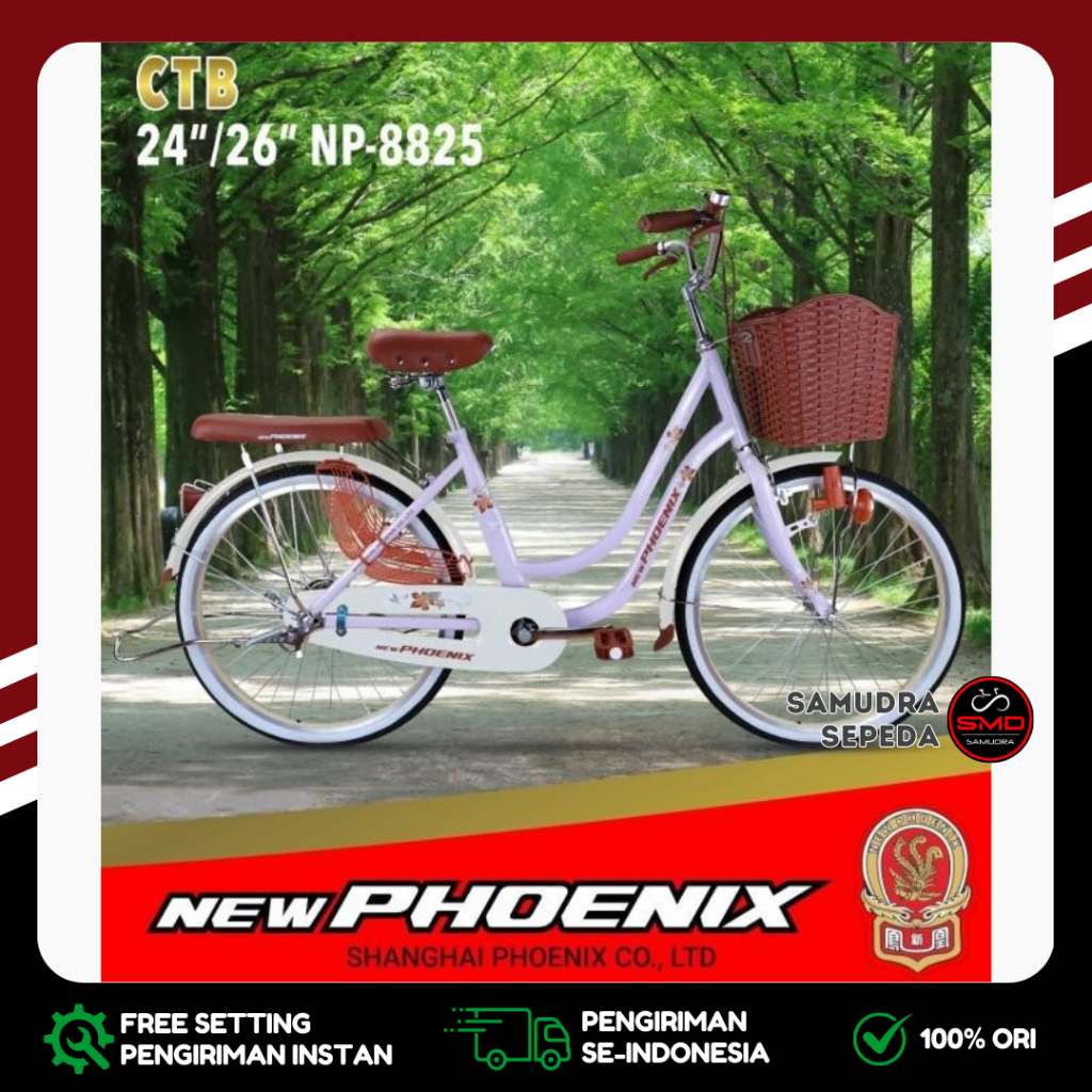 Sepeda Citybike CTB Mini Keranjang Anak Dewasa 24 Inch New Phoenix NP 8825 // CTB 26 Inch Kuromi 315