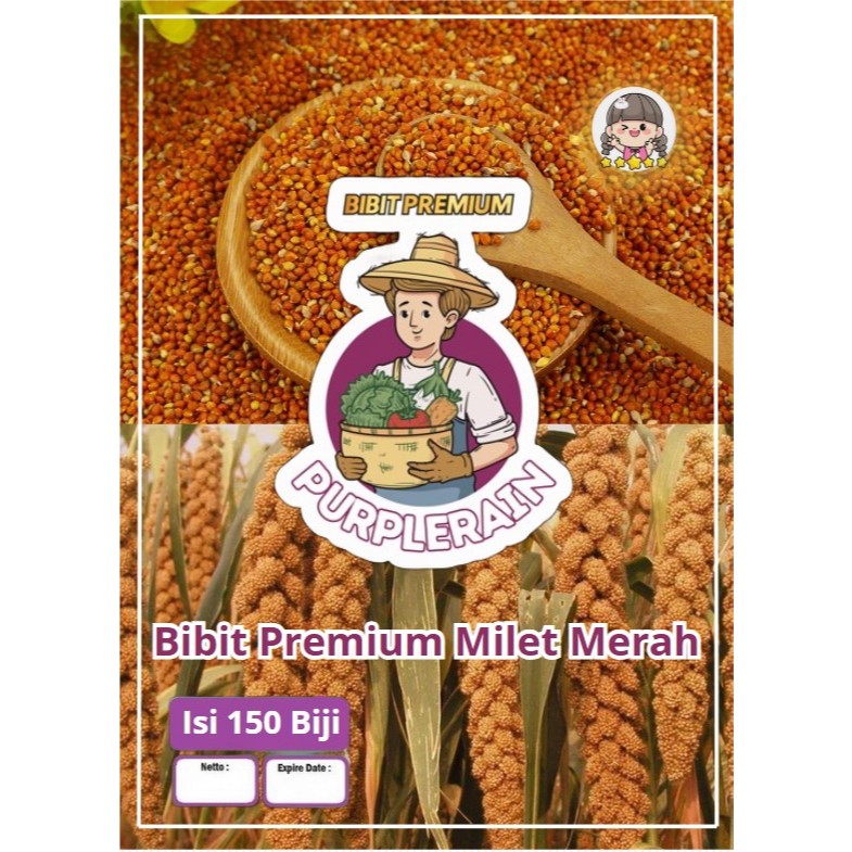 Bibit Premiu Milet Merah|Biji Benih Milet Merah|Biji Bibit Tanaman Milet Merah
