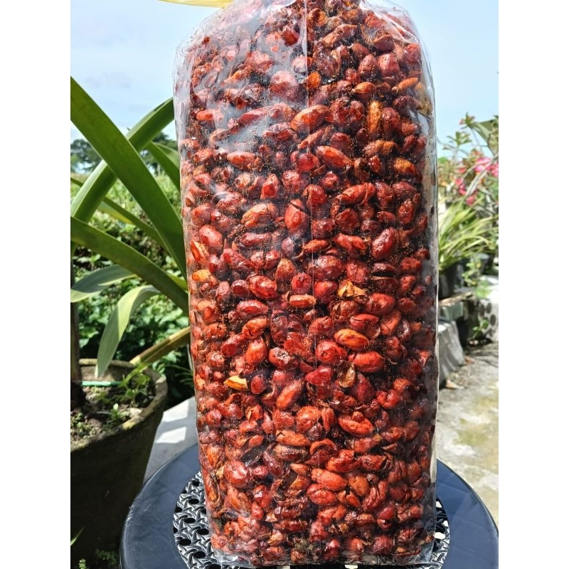 

kulit melinjo pedasmanis