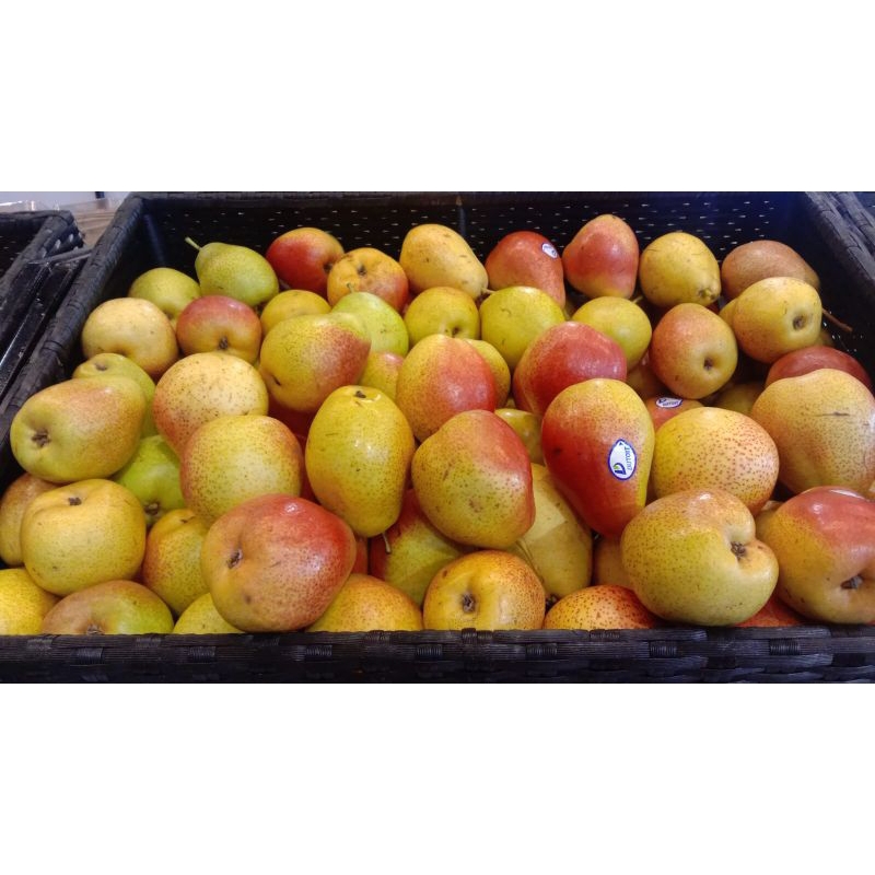 

Buah pear forelle fresh super 1 kg