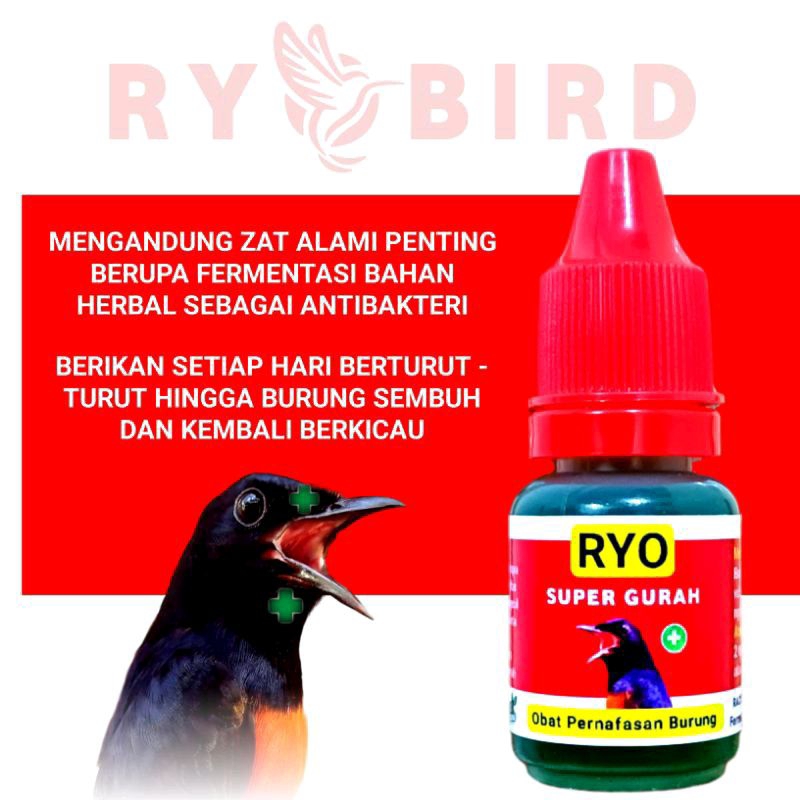 RYO SUPER GURAH Obat Burung Serak Infeksi Saluran Pernafasan Obat Serak Untuk Burung Murai Bikin Bur