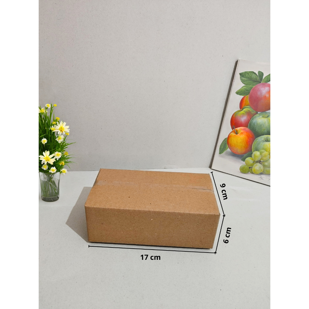 

( 10 Pcs ) Kardus Karton Box Polos 9 x 17 x 6