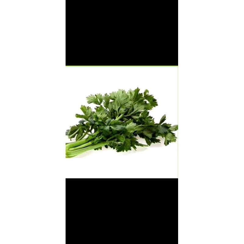 

saledri