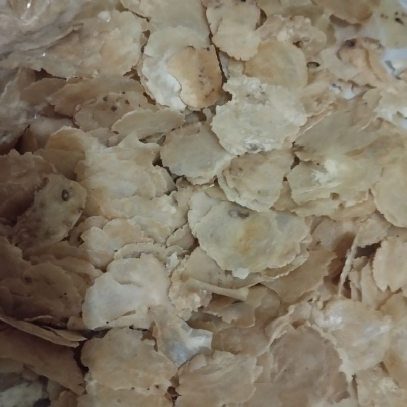 

Emping melinjo Asli, dan tipis.ukuran sedang 100 gr Rp 10.450