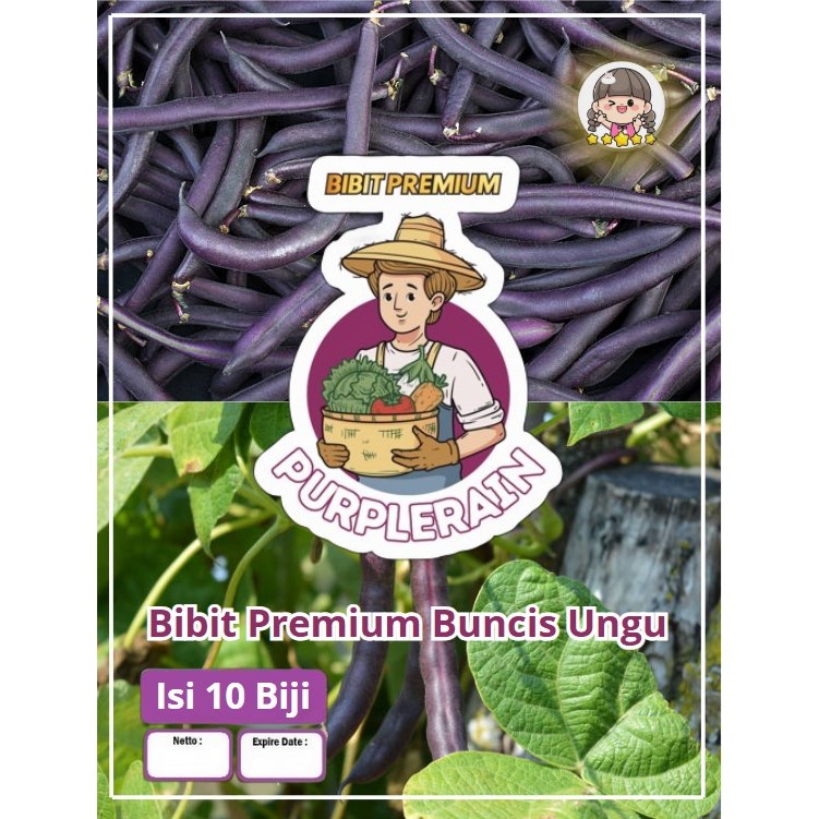 Bibit Premium Buncis Ungu | Benih Buncis Ungu