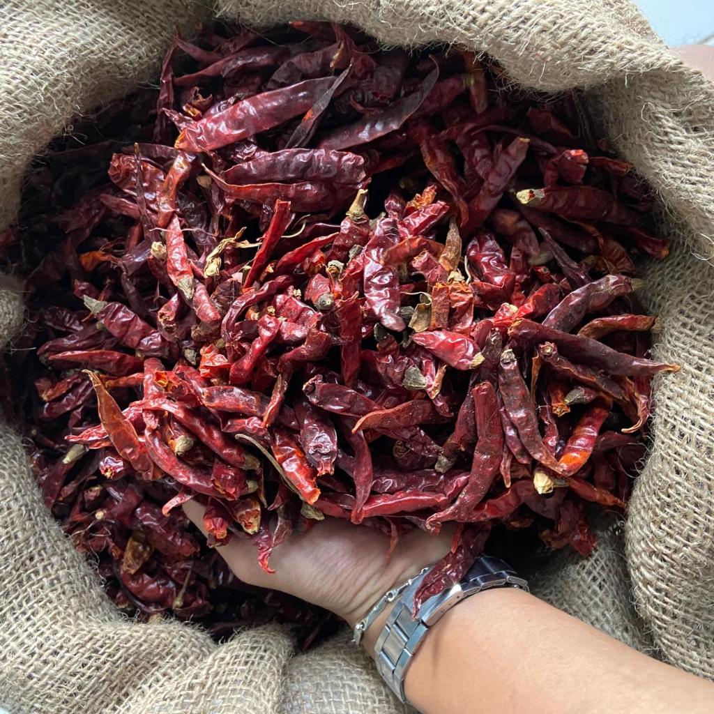 

Cabe Rawit Kering Teja Merah Tanpa Tangkai Bumbu Dapur Ekstra Pedas Kualitas Premium Import