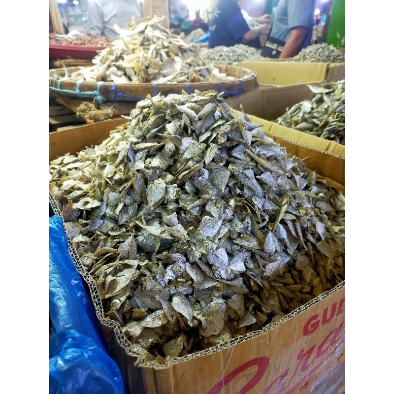 

IKAN ASIN SAMPAH 500gr