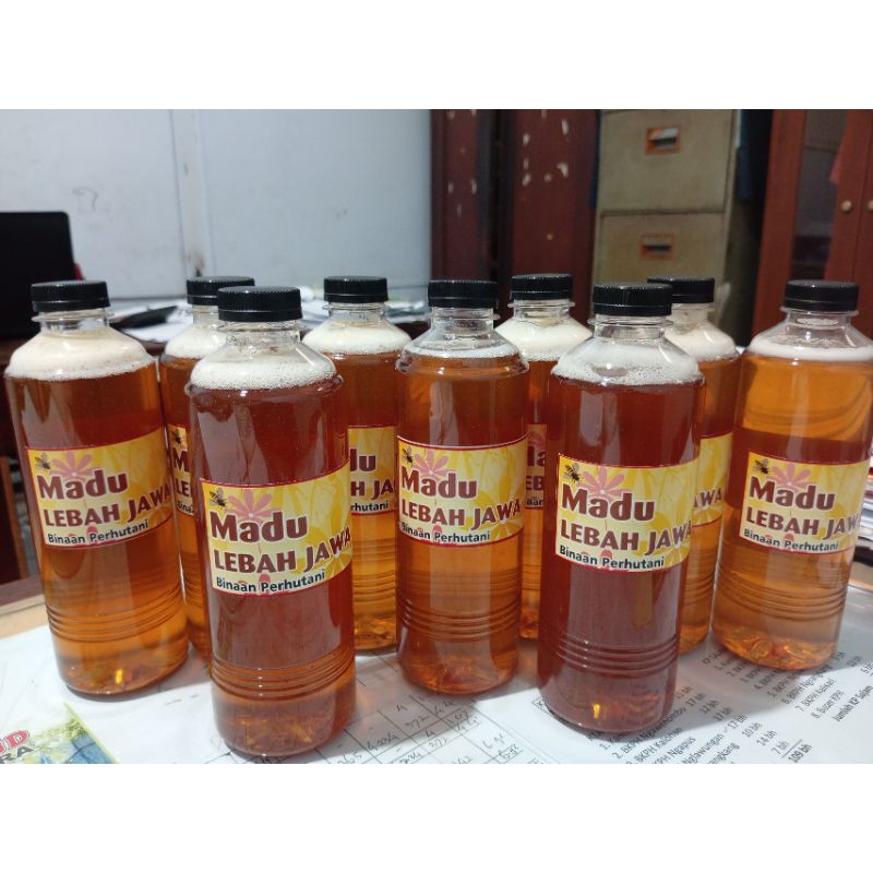 

madu lebah asli