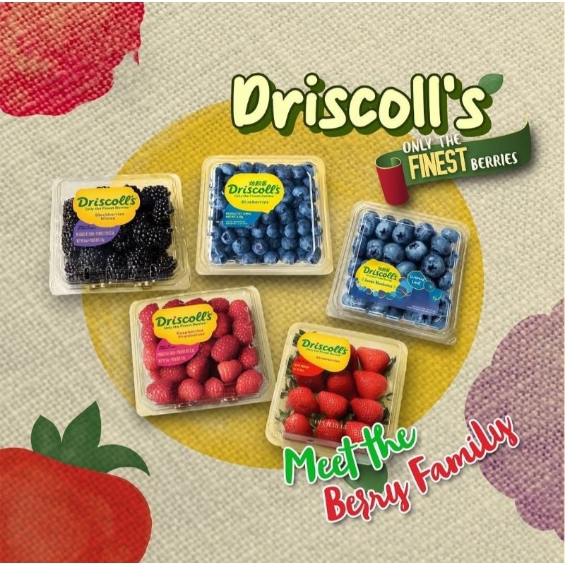 

DRISCOLL'S BERRIES FRUIT IMPORT