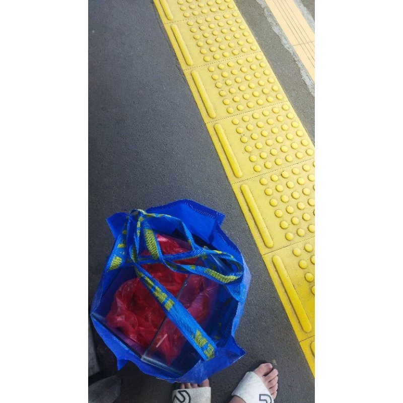 

box limbata pair akur