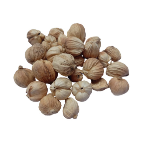 

SayurHD Kapulaga Rempah 50 Gram