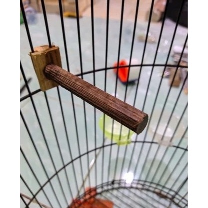Tangkringan Samping Sangkar Burung Kecil Pleci Ciblek Kolibri Dll
