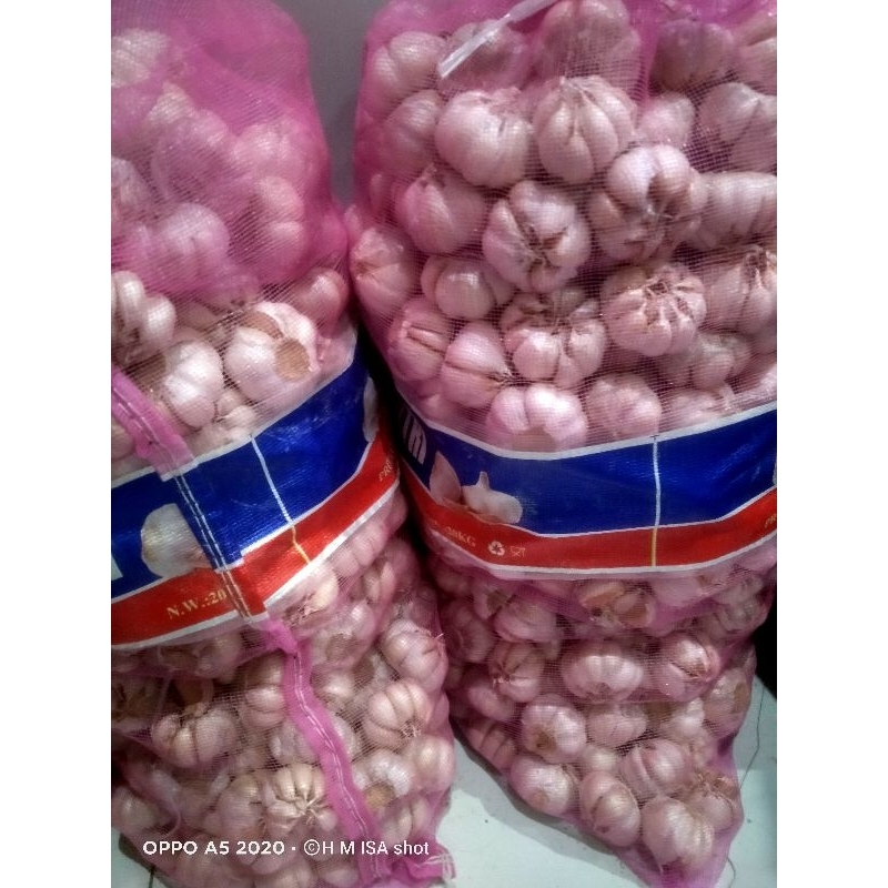 

bawang putih super ¼Kg