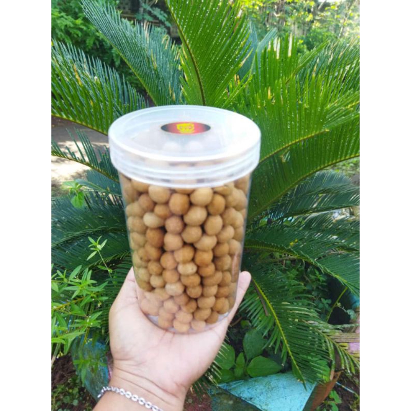 

Kacang Telor Nia