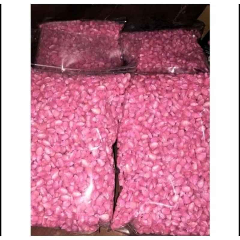 

Benih jagung super unggul 1kg