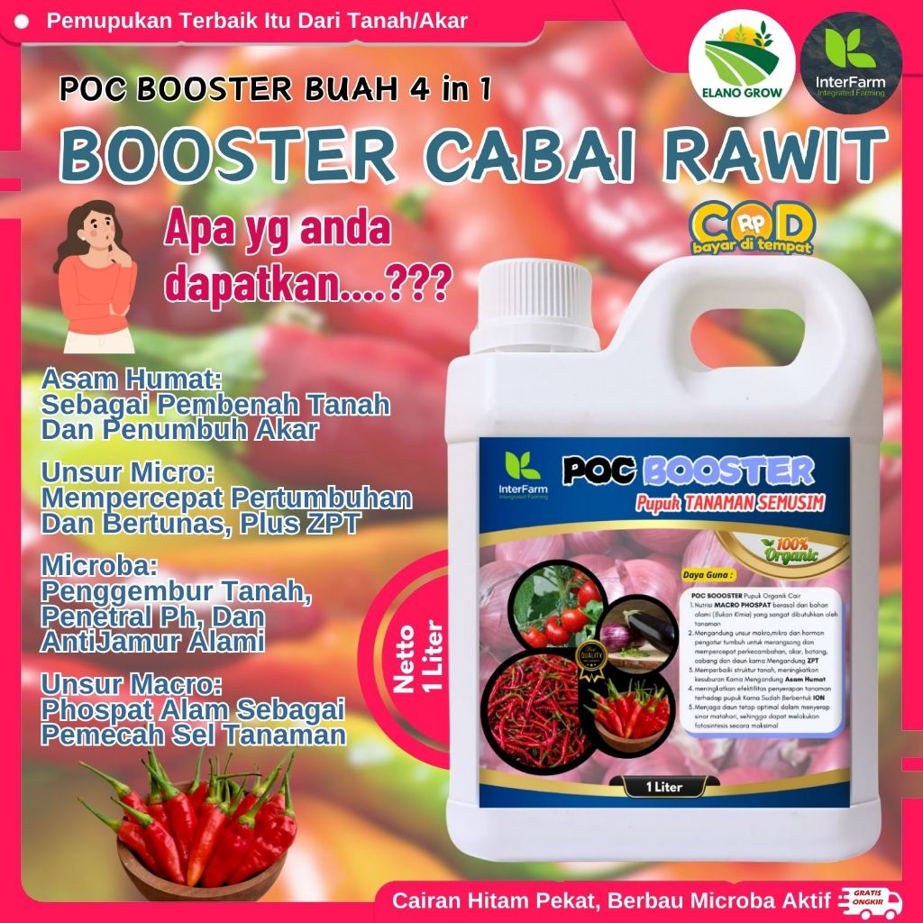 Pupuk pelebat buah cabe rawit, Pupuk penyubur tanaman Cabe Rawit, Pupuk cabe Rawit ELANOGROW 1 Liter