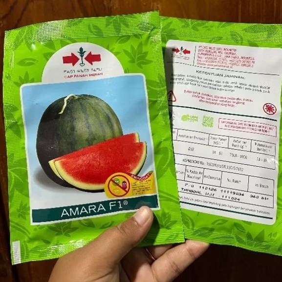 Benih Semangka non biji Amara f1