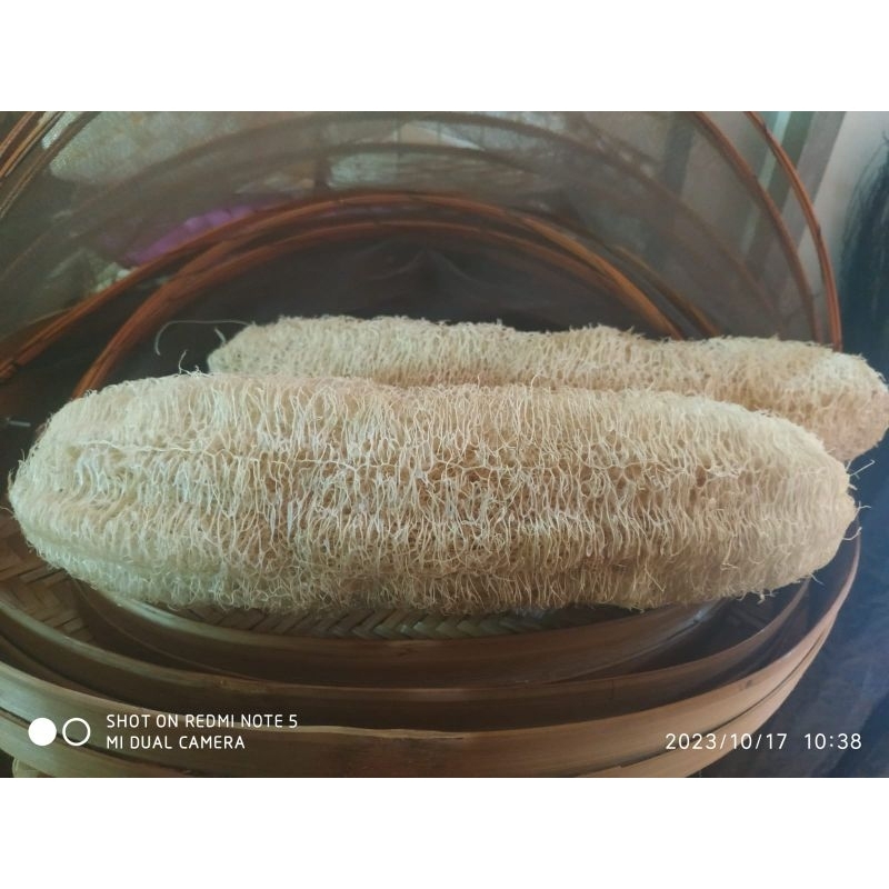 loofah / loofah sponge / sponge gambas / oyong kering lofah sabut gambas oyong sabut cuci piring pun