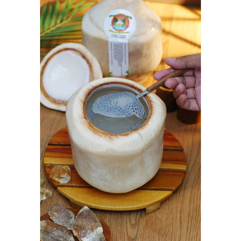

Fresh Coconut Jelly Selasih