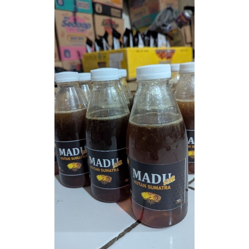 

madu liar hutan Sumatra