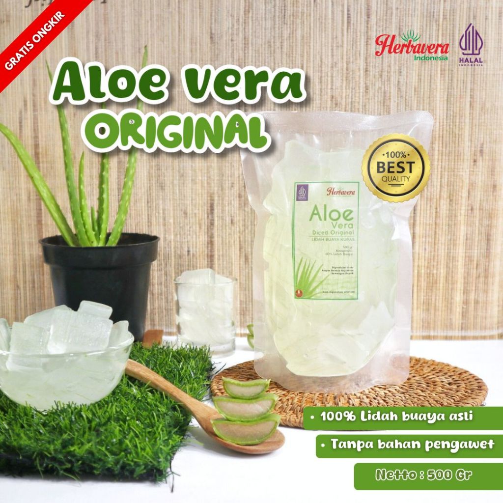 

Lidah Buaya / Aloevera Kupas 500 gram