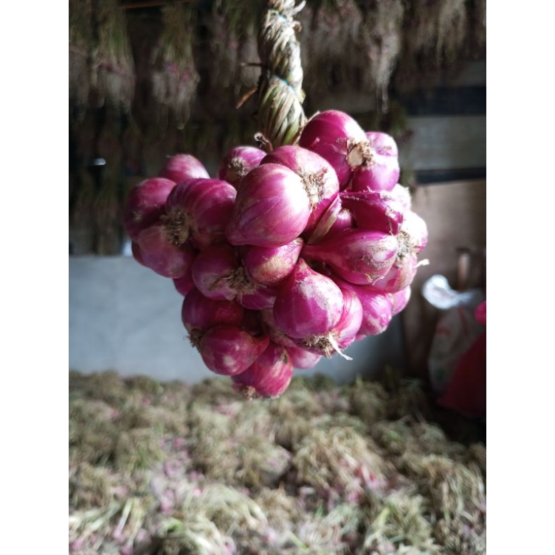 

Bawang Merah