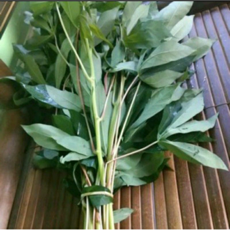 

Daun singkong segar 1 ikat