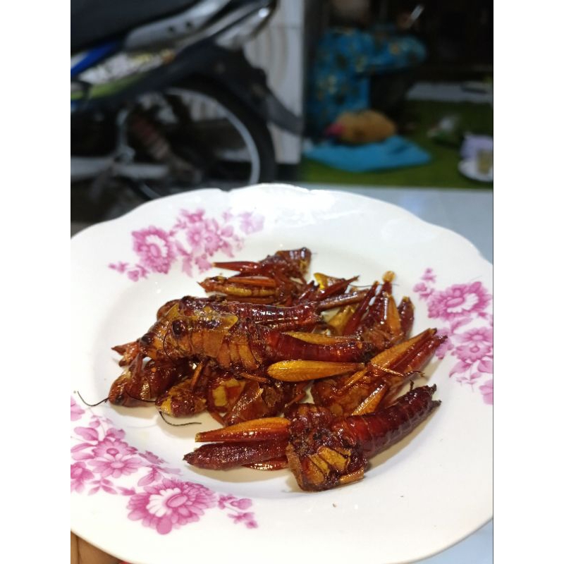

Belalang besar/kayu goreng