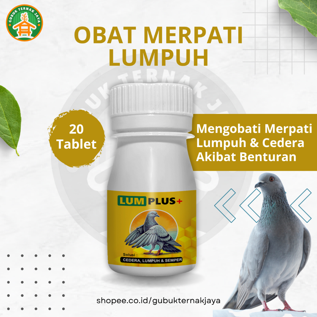 Obat Merpati Lumpuh Cedera Semper Luka Benturan dan Salah Urat LUM PLUS - Gubuk Ternak Jaya
