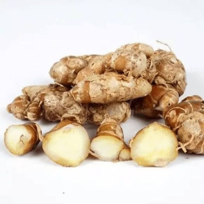 

Kencur 500gram / 250 gram / kencur segar / kencur seblak / kencur tua/ kencur fresh wangi tua