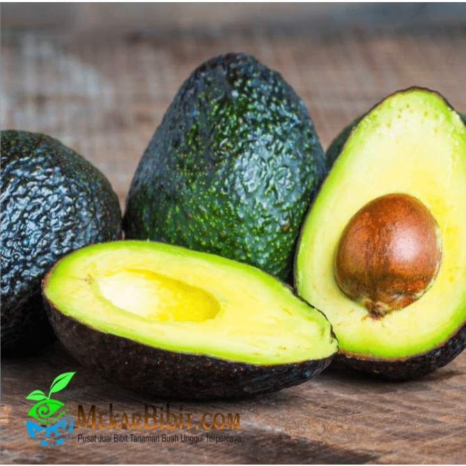 

BUAH Alpukat HASS 1KG Kualitas PREMIUM 100% GARANSI