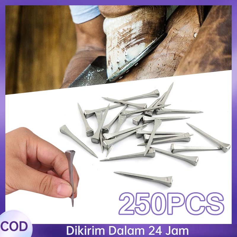 250 Pcs E3 Paku Ladam Paku Kuda Paku Sepatu Tapal Kuda Paku Tapal Kuda Import Paku Sepatu Tapal Kuda