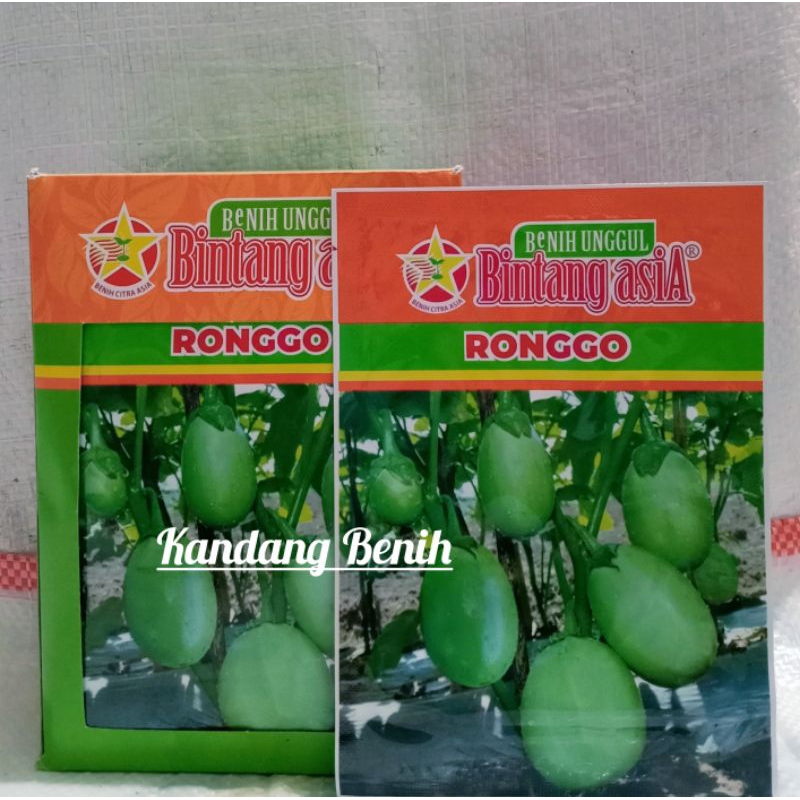 Benih Terong Bulat Pondoh Hijau Ronggo 10 Gram