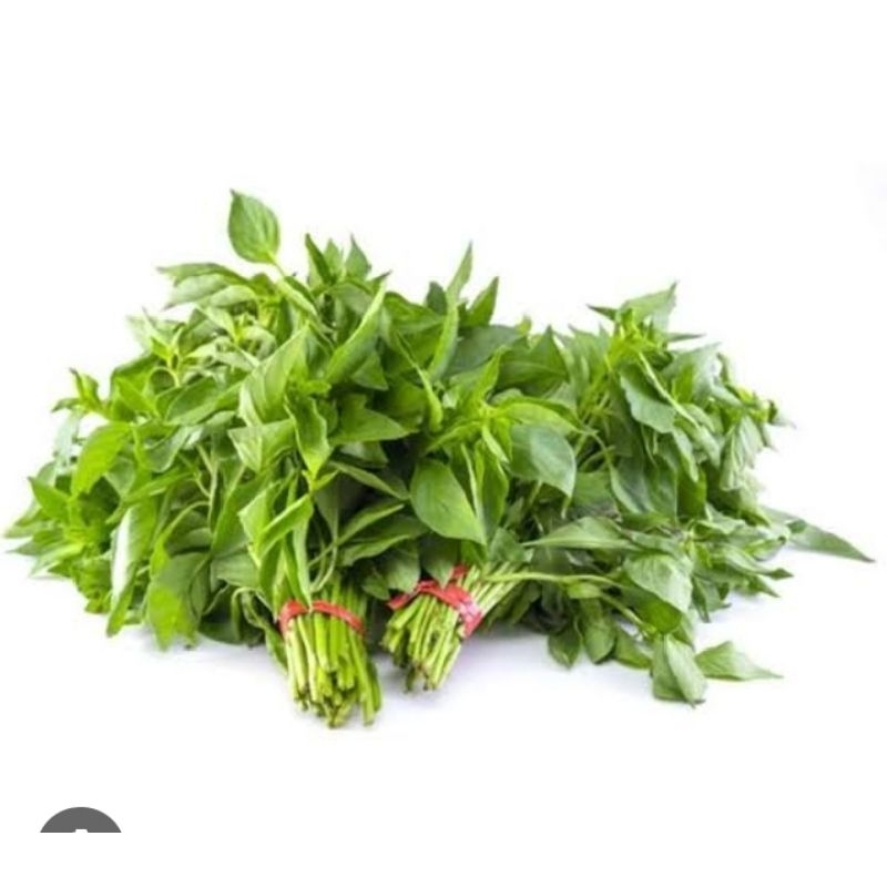 

DAUN KEMANGI 2 ikat kecil