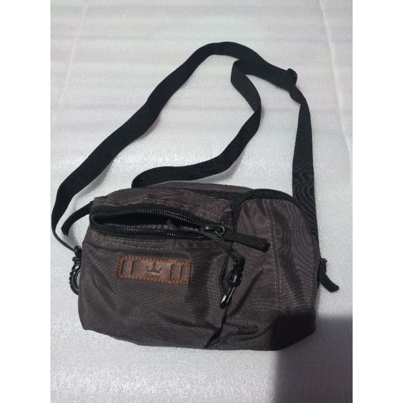 tas sharks