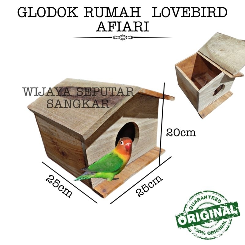 Glodok Afiari lovebird pintu atas glodok pantau TERBARU