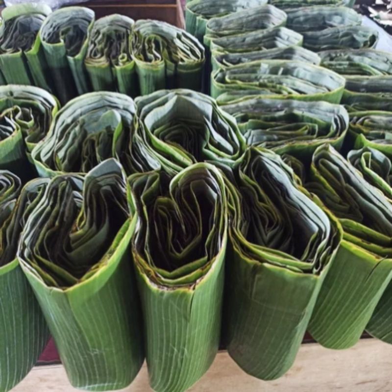 

Daun pisang segar asli berkualitas per ikat